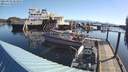 ./images/quadra/hbidock/20210502/hbidock20210502_083500M.jpg
