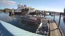 ./images/quadra/hbidock/20210504/hbidock20210504_083500M.jpg