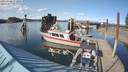 ./images/quadra/hbidock/20210504/hbidock20210504_172000M.jpg