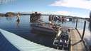 ./images/quadra/hbidock/20210513/hbidock20210513_081000M.jpg