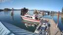 ./images/quadra/hbidock/20210513/hbidock20210513_171500M.jpg