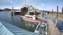 ./images/quadra/hbidock/20210519/hbidock20210519_164500M.jpg