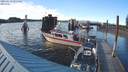 ./images/quadra/hbidock/20210519/hbidock20210519_195000M.jpg