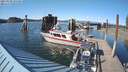 ./images/quadra/hbidock/20210520/hbidock20210520_174500M.jpg