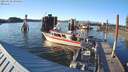 ./images/quadra/hbidock/20210520/hbidock20210520_195501M.jpg