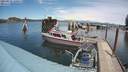 ./images/quadra/hbidock/20210522/hbidock20210522_140501M.jpg