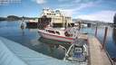 ./images/quadra/hbidock/20210522/hbidock20210522_150500M.jpg