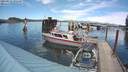 ./images/quadra/hbidock/20210522/hbidock20210522_151500M.jpg