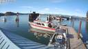 ./images/quadra/hbidock/20210523/hbidock20210523_181000M.jpg