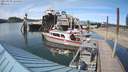 ./images/quadra/hbidock/20210529/hbidock20210529_164500M.jpg