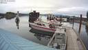./images/quadra/hbidock/20210531/hbidock20210531_122500M.jpg