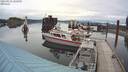 ./images/quadra/hbidock/20210531/hbidock20210531_123000M.jpg