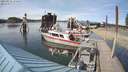 ./images/quadra/hbidock/20210531/hbidock20210531_171000M.jpg