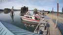 ./images/quadra/hbidock/20210531/hbidock20210531_172000M.jpg