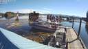 ./images/quadra/hbidock/20210601/hbidock20210601_082500M.jpg