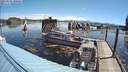 ./images/quadra/hbidock/20210601/hbidock20210601_100500M.jpg