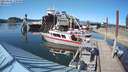 ./images/quadra/hbidock/20210601/hbidock20210601_170000M.jpg