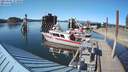 ./images/quadra/hbidock/20210601/hbidock20210601_173000M.jpg