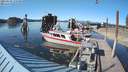 ./images/quadra/hbidock/20210601/hbidock20210601_175500M.jpg