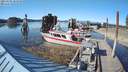 ./images/quadra/hbidock/20210601/hbidock20210601_181000M.jpg