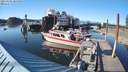 ./images/quadra/hbidock/20210601/hbidock20210601_185500M.jpg