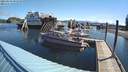./images/quadra/hbidock/20210603/hbidock20210603_091000M.jpg