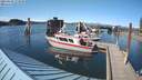 ./images/quadra/hbidock/20210603/hbidock20210603_173000M.jpg