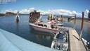 ./images/quadra/hbidock/20210608/hbidock20210608_140500M.jpg