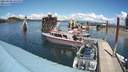 ./images/quadra/hbidock/20210608/hbidock20210608_141001M.jpg