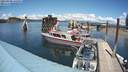 ./images/quadra/hbidock/20210608/hbidock20210608_142001M.jpg