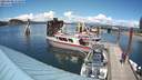 ./images/quadra/hbidock/20210608/hbidock20210608_152000M.jpg