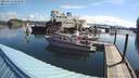 ./images/quadra/hbidock/20210614/hbidock20210614_090000M.jpg