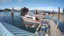 ./images/quadra/hbidock/20210614/hbidock20210614_171000M.jpg
