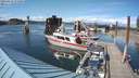 ./images/quadra/hbidock/20210614/hbidock20210614_171500M.jpg