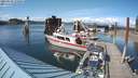 ./images/quadra/hbidock/20210614/hbidock20210614_172500M.jpg