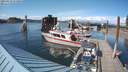 ./images/quadra/hbidock/20210614/hbidock20210614_173000M.jpg