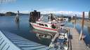 ./images/quadra/hbidock/20210614/hbidock20210614_173500M.jpg