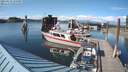 ./images/quadra/hbidock/20210614/hbidock20210614_175000M.jpg