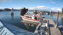 ./images/quadra/hbidock/20210614/hbidock20210614_183000M.jpg