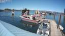 ./images/quadra/hbidock/20210622/hbidock20210622_151000M.jpg