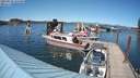 ./images/quadra/hbidock/20210622/hbidock20210622_155500M.jpg