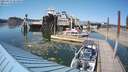 ./images/quadra/hbidock/20210627/hbidock20210627_164000M.jpg