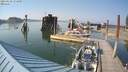 ./images/quadra/hbidock/20210629/hbidock20210629_174500M.jpg