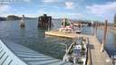 ./images/quadra/hbidock/20210702/hbidock20210702_181000M.jpg