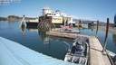 ./images/quadra/hbidock/20210705/hbidock20210705_124500M.jpg