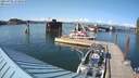 ./images/quadra/hbidock/20210705/hbidock20210705_173500M.jpg