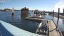 ./images/quadra/hbidock/20210707/hbidock20210707_083000M.jpg