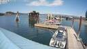 ./images/quadra/hbidock/20210707/hbidock20210707_144500M.jpg