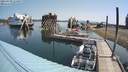 ./images/quadra/hbidock/20210709/hbidock20210709_111000M.jpg