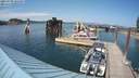 ./images/quadra/hbidock/20210709/hbidock20210709_161500M.jpg